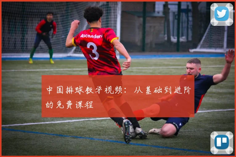 中国排球教学视频：从基础到进阶的免费课程